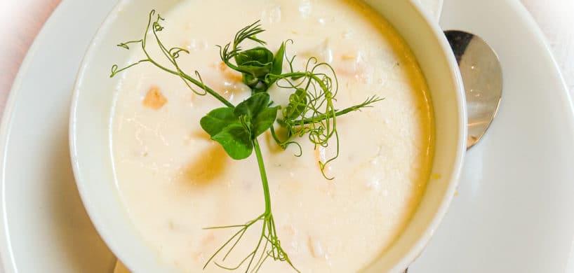 National Clam Chowder Day