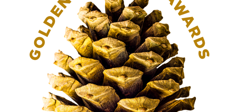 Carmel Pine Cone Voting