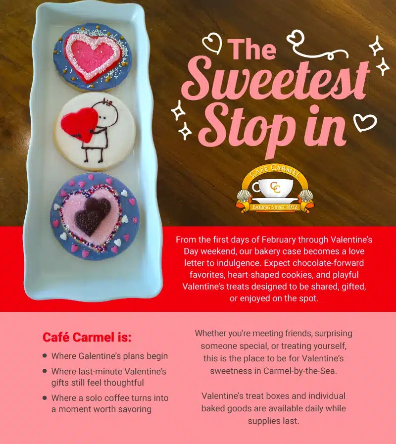 CC_E-newsletter_FEB